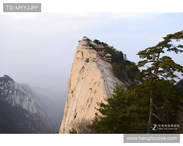 云海锦标赛(云海比赛视频)世界杯体育论坛